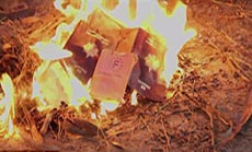 French ’ISIL’ Militants Burn Passports, Call for Extremism at Home: Video