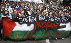 French MPs Vote in Favor of Recognizing Palestine