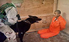 Shocking cases in CIA report reveal an American Torture Program in Disarray