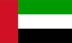 UAE Pulled Out of ’ISIL’ Fight after Pilot Capture