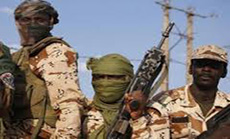 Chad: 13 Boko Haram Militants Killed