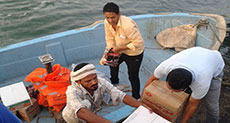 Humanitarian Crisis in Yemen: Voices from the Conflict