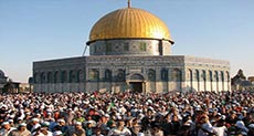 Takfirism... a Stab in the Back of the Palestinian Cause

