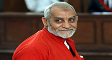 Egypt Sentences Brotherhood Leader to Life Imprisonment

