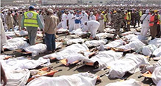 Stampede Kills 220 People at Hajj Pilgrimage near Mecca


