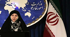 Afkham: Iran’s Priority is Cooperation with Neighboring Countries

