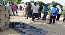 Triple Suicide Bombing Kills 7 in Northeast Nigeria

