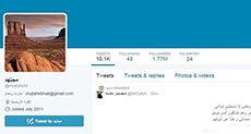 Saudi Twitter Whistleblower Reveals Yemeni Crisis Settlement Project


