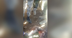 Syrian Opposition Claims Russian Pilot Dead, Putin to Address Nation

