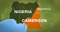 At Least 19 Killed as Suicide Attack Hits N. Cameroon
