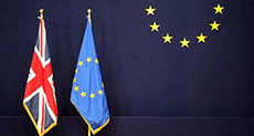 Britain into Referendum after ’Special Status’ Deal with EU