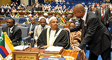 Africa, Arab Defense Ministers Focus on Terrorism
