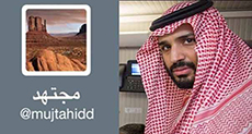 Mujtahidd: Establishing ’Drones’ Factory in S. Africa a Saudi Trick to Sell to ’Israel’

