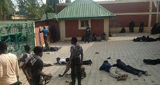 Amnesty Condemns Nigeria Army Massacre of Muslims in Zaria
