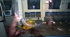 German Train Attack: Afghan Refugee ’Had Daesh Flag in Room’
