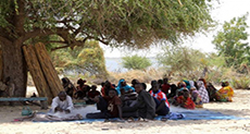 UN: 9mn+ in Dire Need of Food Aid in Lake Chad 