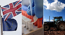 Brexit: Government Guarantee for Post-EU Funds