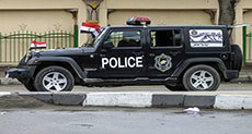 Egypt Senior MB Leader Killed in Raid