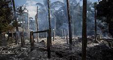 Myanmar Involved in Rakhine Ethnic Cleansing