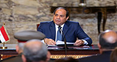 Sisi: Economic Reforms are No ’Picnic’