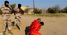 Daesh Executes 16 Civilians in Sinai