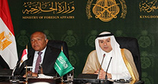 Egypt-Gulf Relations Tested By Saudi Visit to Ethiopia Dam