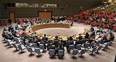 New Zealand Defends UN Vote, ’Israel’ Recalls Ambassador