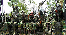 Dozens of Boko Haram Terrorists Surrender in Southern Niger
