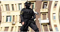 Egypt: 10 Daesh Militants Killed in Gunfight