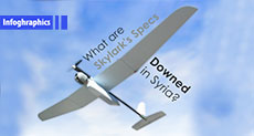 What You Want to Know about Skylark