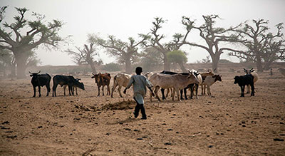 Worst Humanitarian Crisis Hits Africa as Trump Slashes Foreign Aid