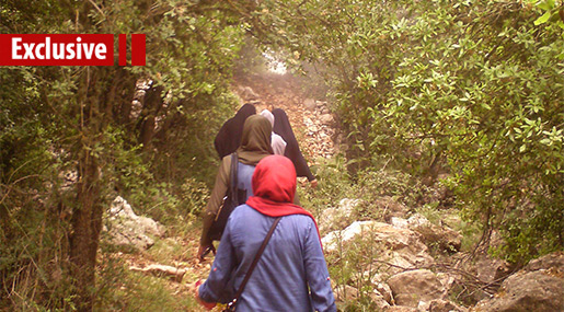 A Walk to Liberation...