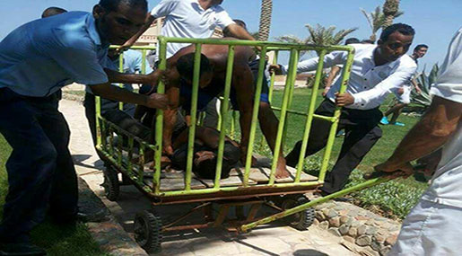 Two German Tourists Killed In Egypt Attack