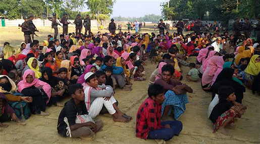Myanmar Crackdown: OIC Urges Gov’t to Respect Rohingya Rights