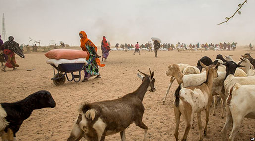 Ethiopia Drought: 8.5 Million Hungry
