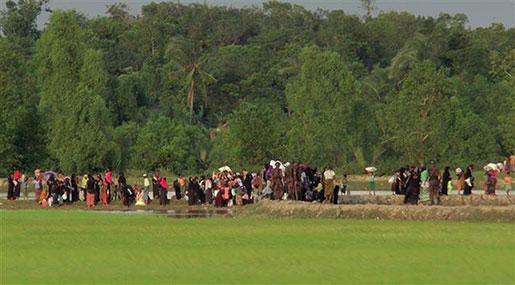 Myanmar Crackdown: Exchange of Accusations amid Rise in Rakhine Violence