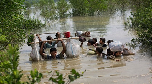 UN: 164,000 Refugees Enter Bangladesh from Myanmar