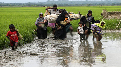 Rohingya Muslim Crisis: Burmese Forces Using Scorched Earth Tactics to Drive out Minority
