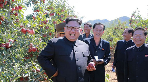Reports: Egypt Ordered 30,000 Rockets from NKorea in $23m Deal Foiled by US