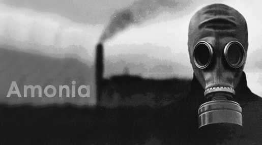 «Israeli» Ammonia: From Haifa to Jordan’s Aqaba