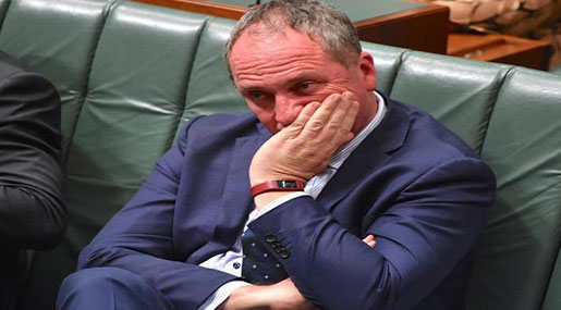 Australia’s Deputy PM Disqualified over Dual Citizenship