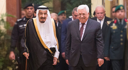 Fmr Bibi Adviser: Saudis «Don’t Care» About Palestinians, Want «Israel’» Help with Iran