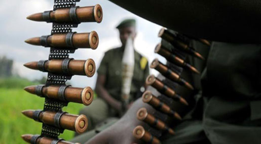 State Agents, Militia ’Planned’ DRC Massacres: Rights Group