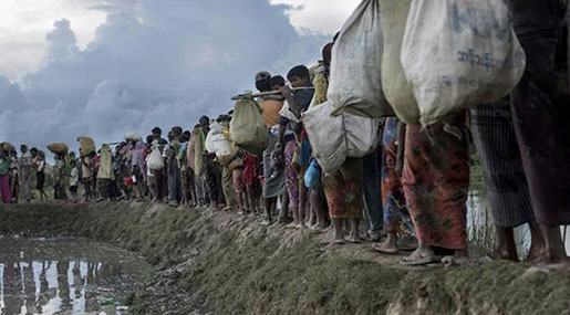 Myanmar Crackdown: Regime Builds Military Bases on Rohingya Land