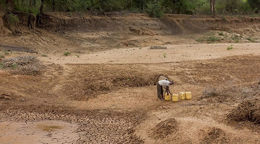 Somalia: Poor Rains Forecast Put Food Security, Livelihoods at Risk, Warns UN Agency