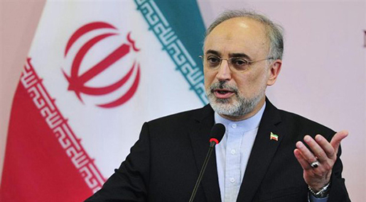 Ali Akbar Salehi, the advisor of Iran president and head of the Atomic Energy Organization 