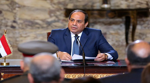 Sisi: Economic Reforms are No 'Picnic' Sisi: Economic Reforms are No ’Picnic’