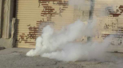 Bahrainis Protest Salman Jail Term Extension
