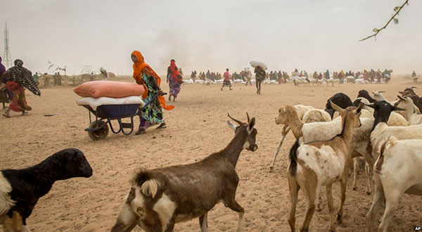 Ethiopia Drought: 8.5 Million Hungry Ethiopia Drought: 8.5 Million Hungry