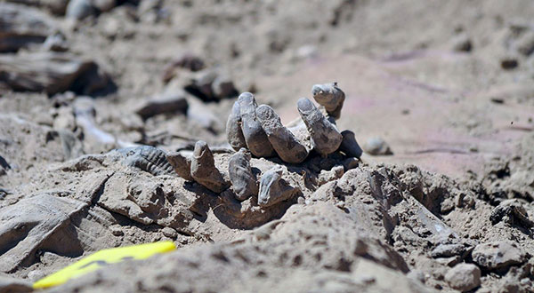 Iraq: Mass Grave Uncovered In Former Daesh-Held Ramadi Iraq: Mass Grave Uncovered In Former Daesh-Held Ramadi